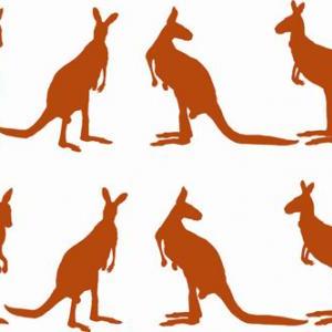 Little Kangaroos Wall Decals Sticker